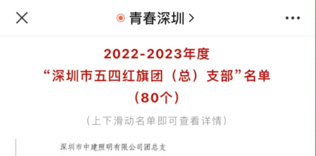 中建照明团总支荣获“深圳市五四红旗团总支”